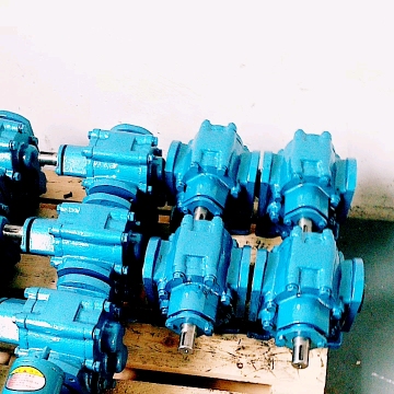 Large Flow Fuel Oil Transfer Pump ZYB Gear Oil Pump High Temperature Wear-resisting Fuel Pump Electric Ce OEM Cast Iron 1 Years1