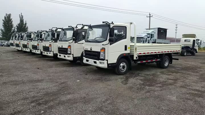 Howo Light Cargo Camión