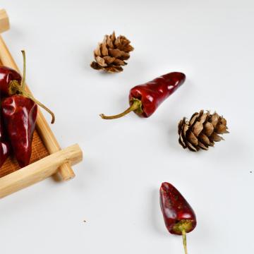 China Top 10 Pure Natural Bullet Pepper Brands