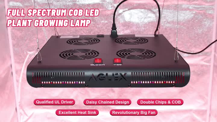 COB 2000W Grow Light.mp4