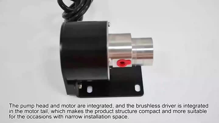 Bomba de engrenagem integral de 0,30cc