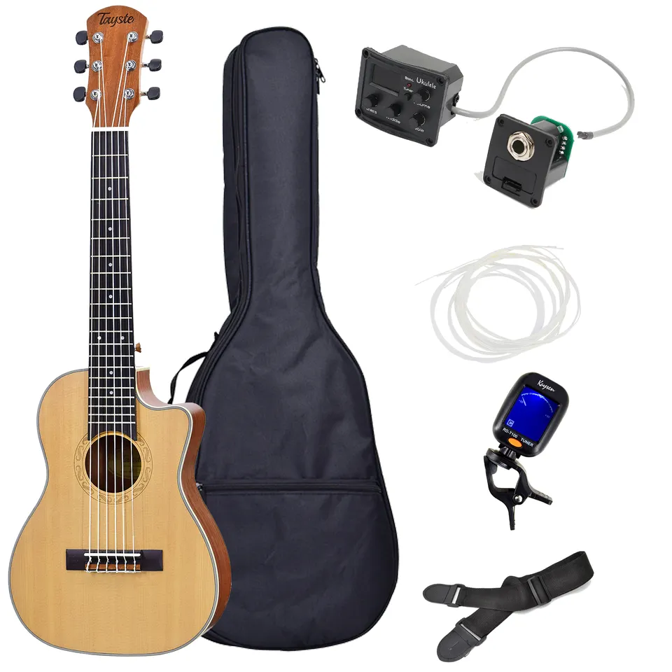 Tayste travel acoustic guitar guitalele