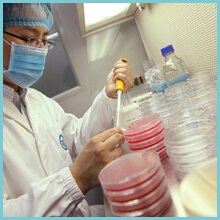 Cangzhou Pangoo International Trade Co., Ltd.