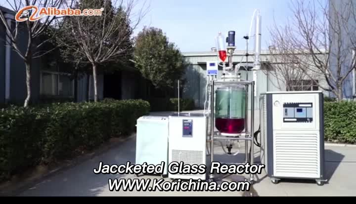 Jacketed Glass Reactor