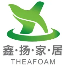Dongguan Theafoam Holding Group Co.,Ltd