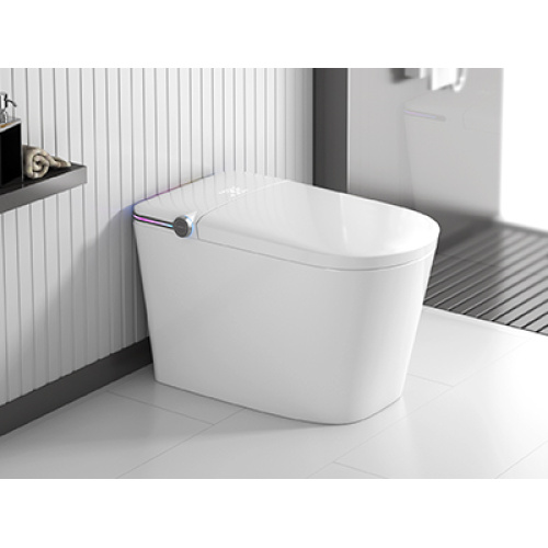 Considerations for Selecting a Smart Toilet