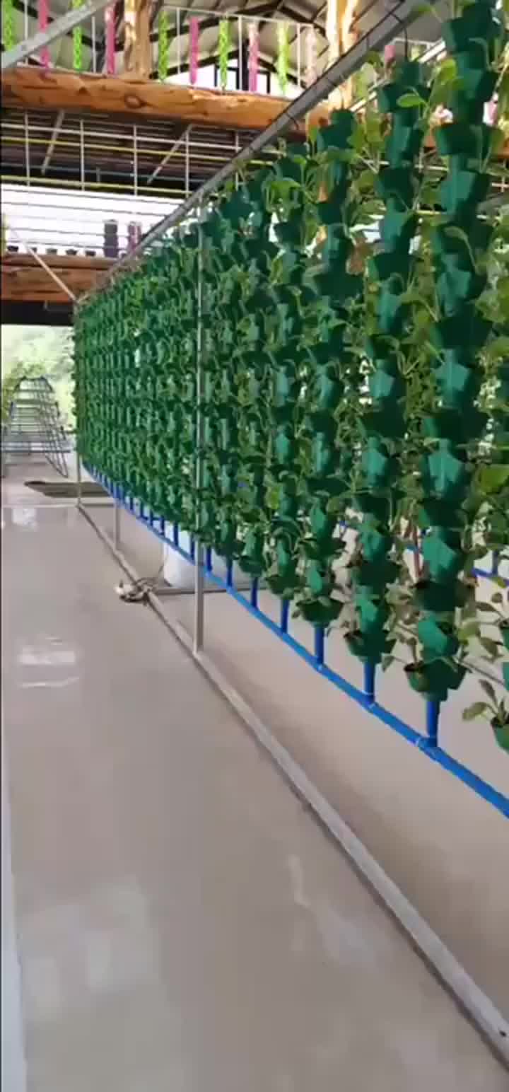 Green vertical hydroponics