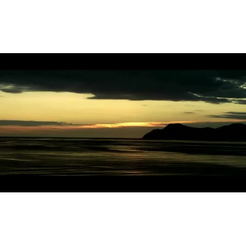 درپوش آبزی ژوشان زیفنگ.