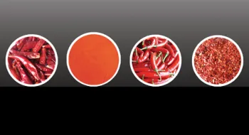 Qingdao Tianxiang Food co.,Ltd