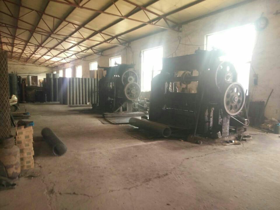 Hebei Dongshengyuan Trading Co.,Ltd.
