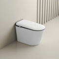 Ceramic Bathroom Sanitaryware MJ-ST04: Smart Toilet without Water Tank1