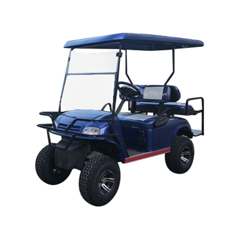 2 +2 seater golf cart