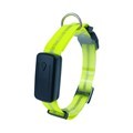 Wholesale Pet Dog LED Collar - Waterproof, USB Rechargeable, Night Safety Walking Anti-Lost Flashing Collar1