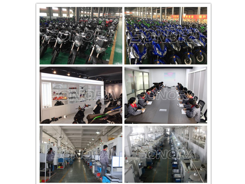 SONORA MOTOR COMPANY