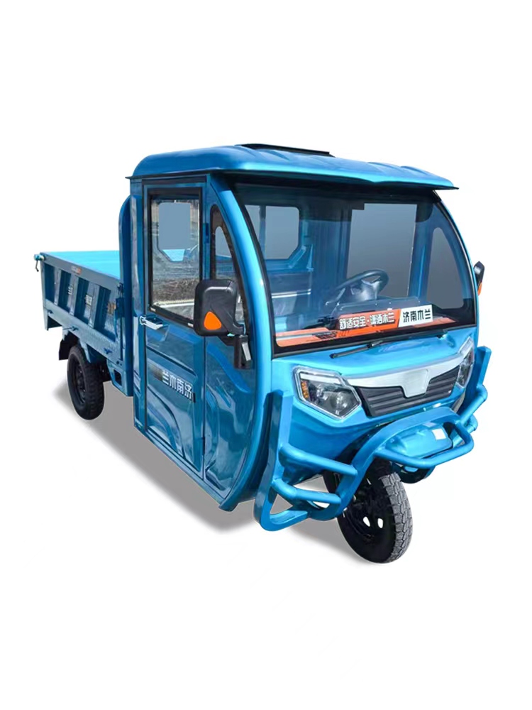 Cargo Electric Tricycle