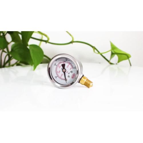 pressure gauge