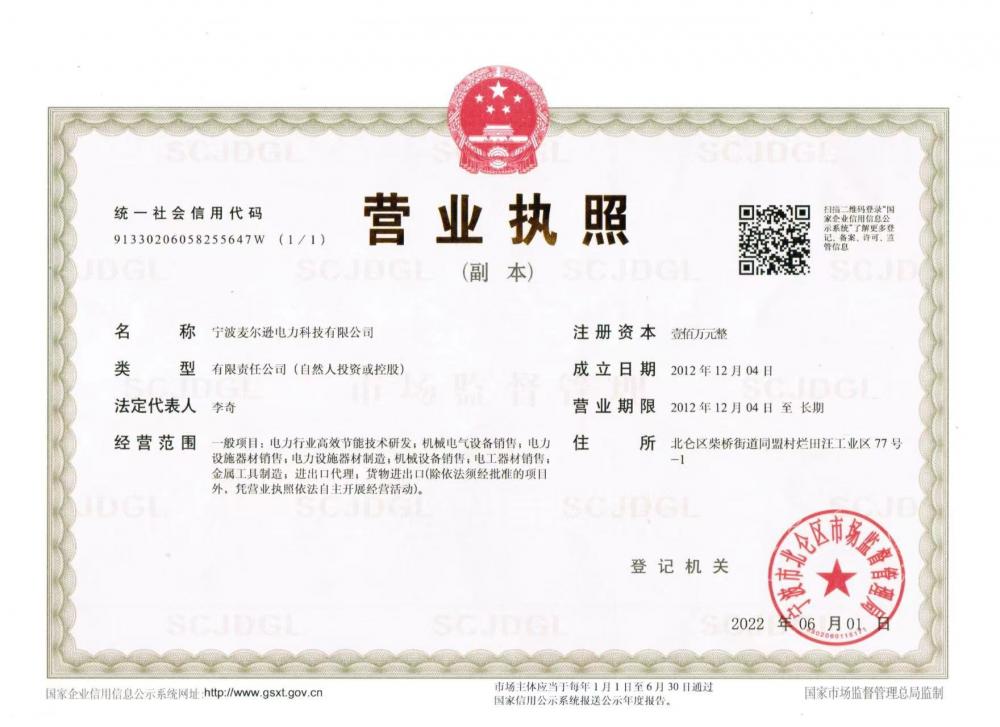 Business License