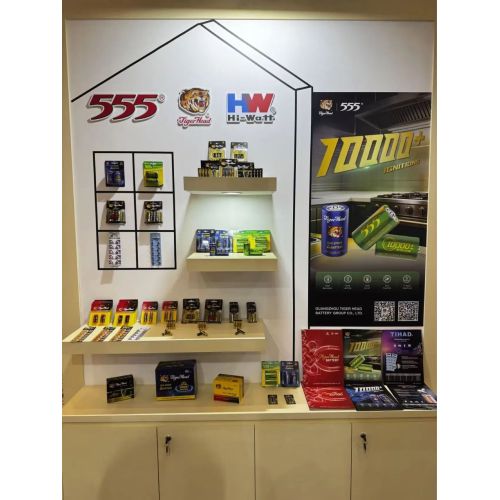 Tiger Head Battery Group brilha no "Guangzhou Products Global Tour" de 2026 em Cingapura
