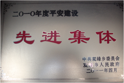 Advanced Collective of 2010