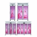 Single-Temperature Glass Door Freezer for Meat Display and Rail Systems1