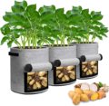 Nicht gewebte Kartoffel -Wachsen -Taschen Pflanzer Garten wachsen Taschen für Greenhouse1