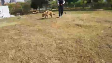 21-0801 Running