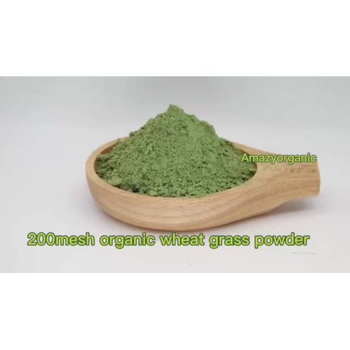 organic wheat grass powder