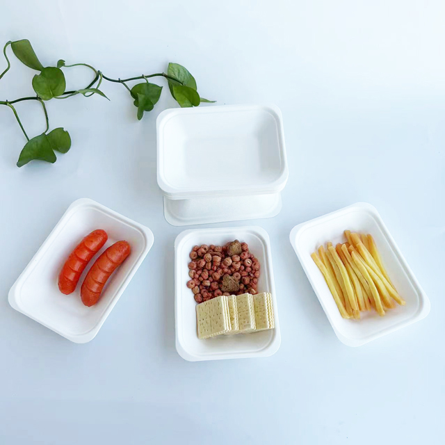 Bagasse Chip Tray (2)