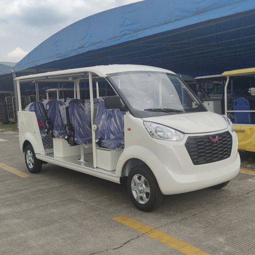 Check whether the Electric Sightseeing Car is good or bad?