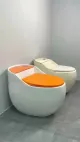 łazienka sanitarna toaleta Sifonowa toaleta