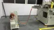 Máquina troqueladora de cinta de PVC / PET / PE / espuma