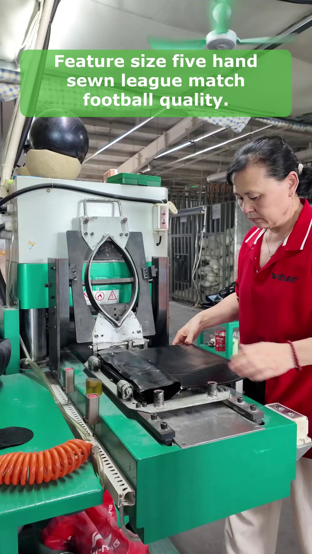 فيديو 12