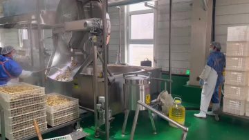 Electric Heating Fryer 2