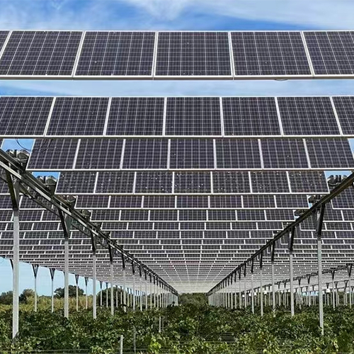 Por que usar painéis solares flexíveis para estufas agrícolas fotovoltaicas