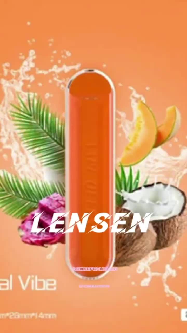 CNEW-Arrival-Wholesale-Rechargeable-600-Puffs-Disposable-Electronic-Vaporizer-Vape-Oem-Disposable-E-Cigarette-With-Mesh-Coil.webp (4)