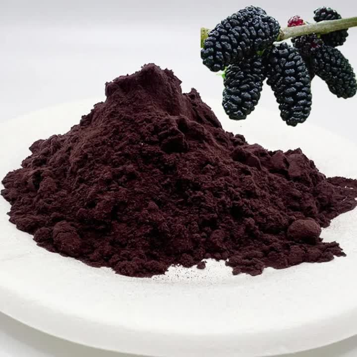 Polvere di mirtillo puro organico naturale