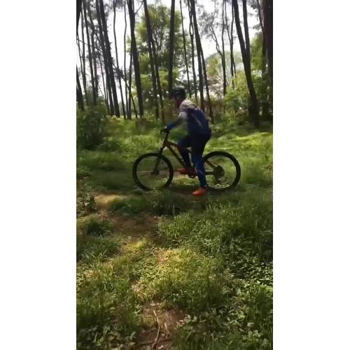 Mountain Bike Red