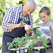 herbs, growing,garden,planter