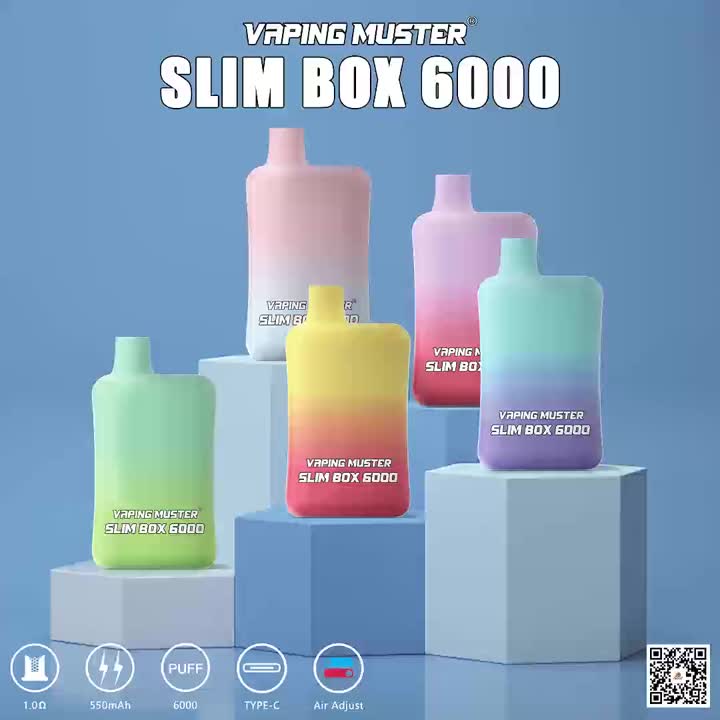 Slim Box Vape 6000 Puff