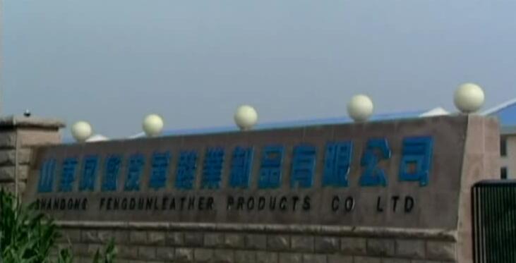 Shandong Fengdun Leather Shoes CO.,Ltd