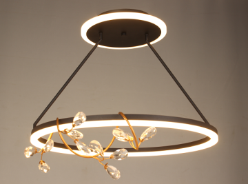 Minimalist Indoor Modern LED Ceiling light fixture