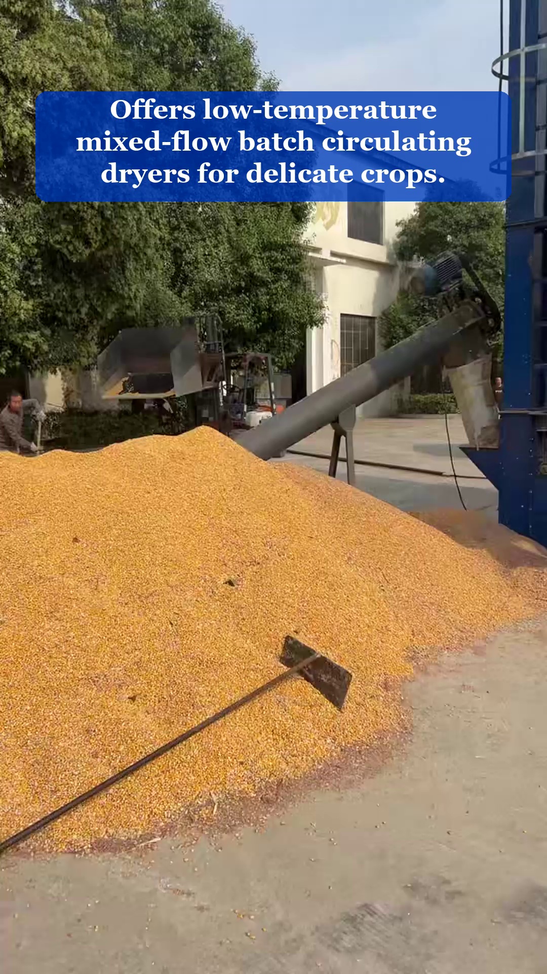 Vidéo 61