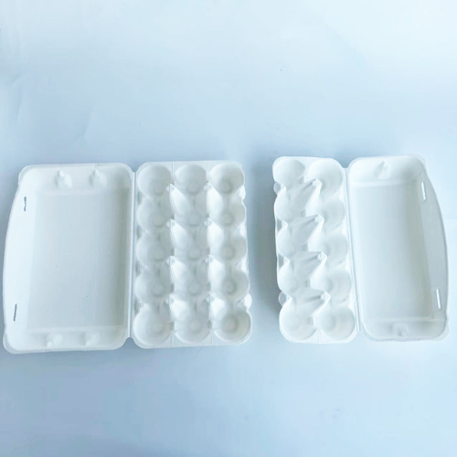 Bagasse 10 egg tray and 15 egg tray 