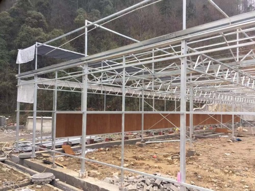 Qingcheng Agriculture estabelece projeto de demonstração de estufa de vidro nas montanhas do norte de Guizhou