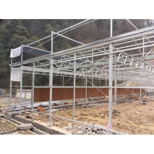 Qingcheng Agriculture establece un proyecto de demostración de invernaderos de vidrio en las montañas del norte de Guizhou