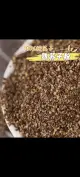 Perilla Seed Food coreano