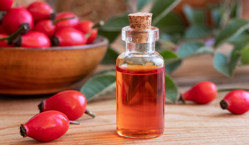 organic Rose hip extract Rose hip powder