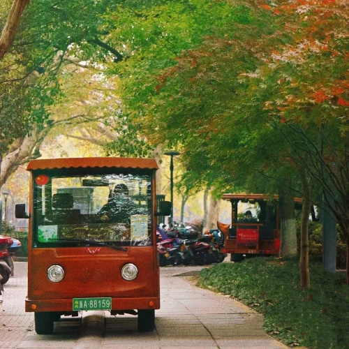 How to save electricity and energy in Electric Customized Vehicles