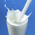 Small Dairy Milk Product Processing Line1
