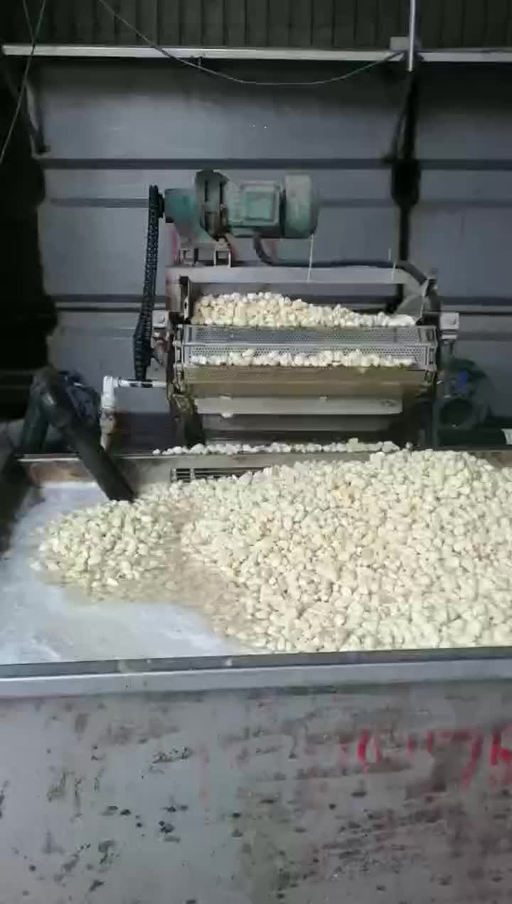 peeled garlic processing